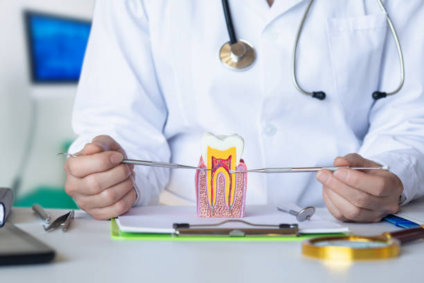 Best Dental Abscess Treatment in Trainer, PA